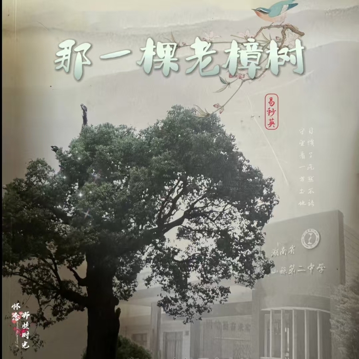 发行海报.jpg